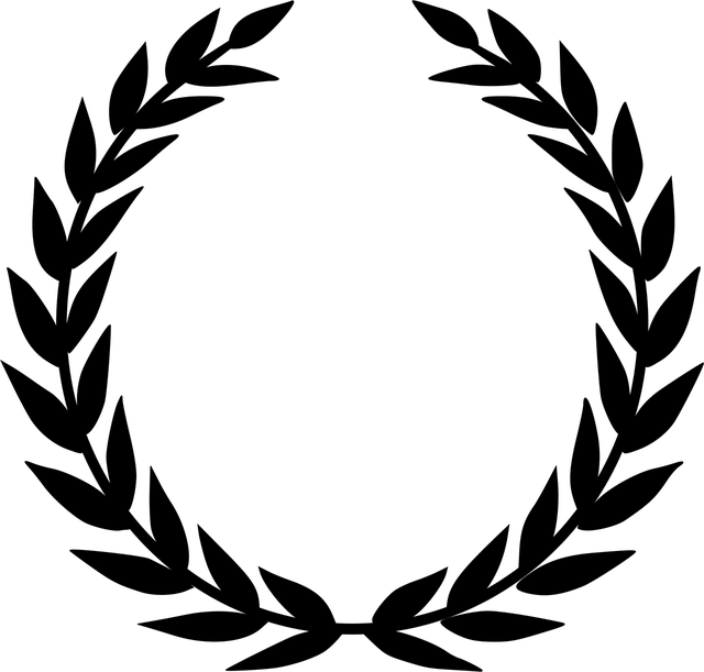 logo 1er Prix : L’Olympique Lyonnais et Nes & Cité